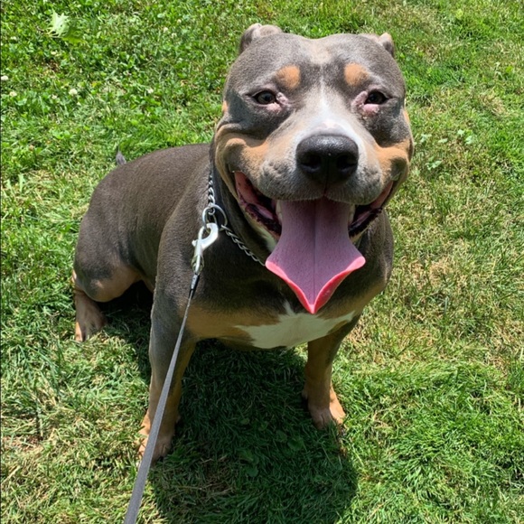 Meet your Posher, Kristen - Picture 14 of 14